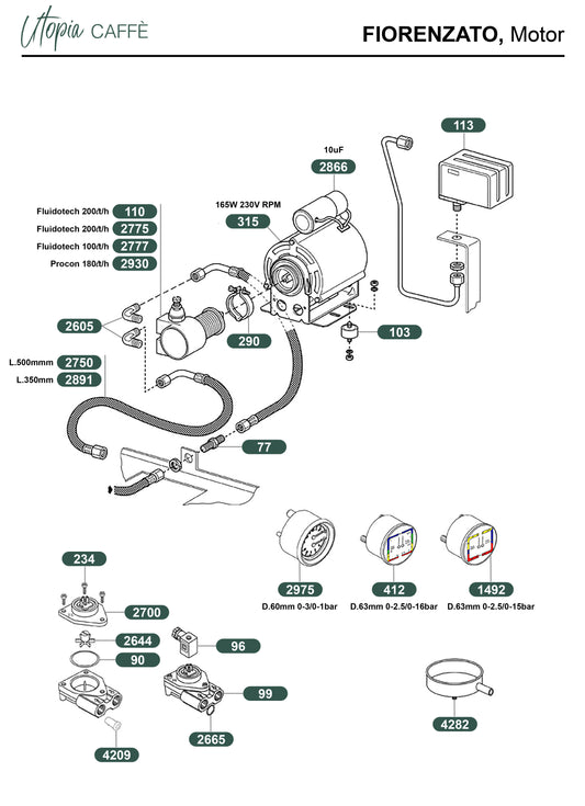 FIORENZATO, Motor