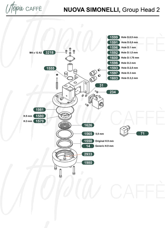 Nuova Simonelli, Group Head 2