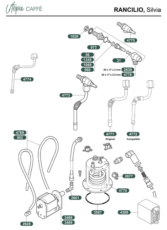 RANCILIO, Silvia