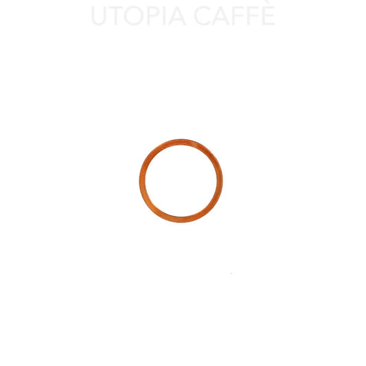 1666 - Flat Copper Gasket 24 x 20 x 1 mm