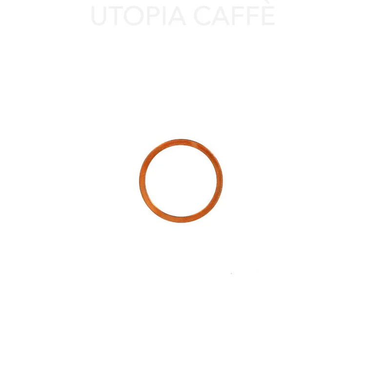 1666 - Flat Copper Gasket 24 x 20 x 1 mm