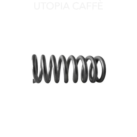 197- Expansion Spring Water Valve Assembly Springs