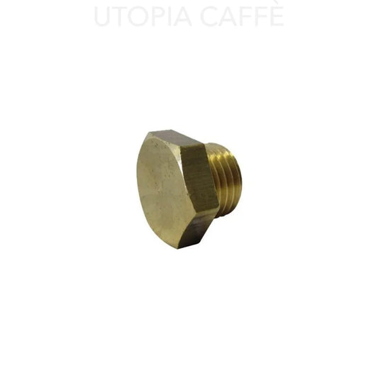 216- 1/4 Brass Male Plug Fittings