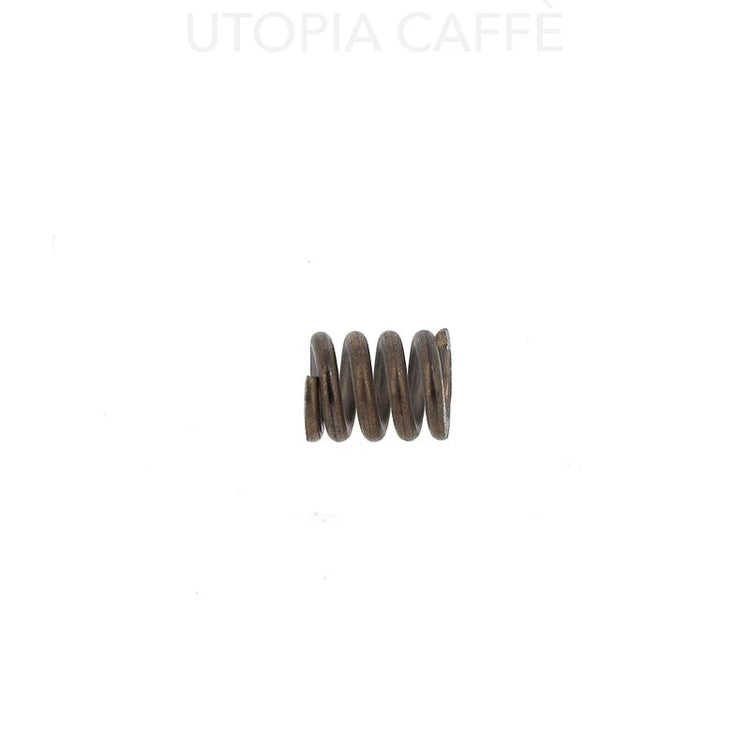 1891 - Steam/ Water Valve Spring