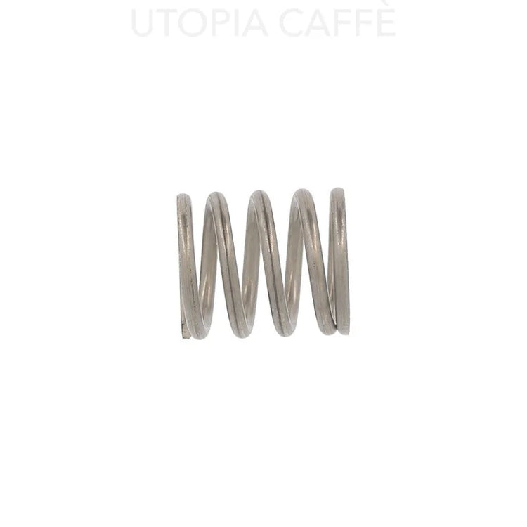 193 - E61 Valve Spring