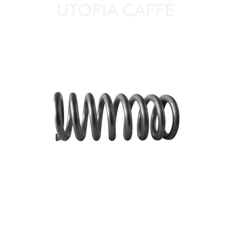 197- Expansion Spring Water Valve Assembly Springs