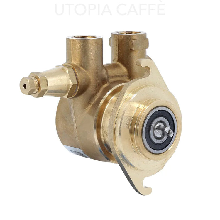 2847 - BRASS NUERT FLANGE PUMP 150 L/H