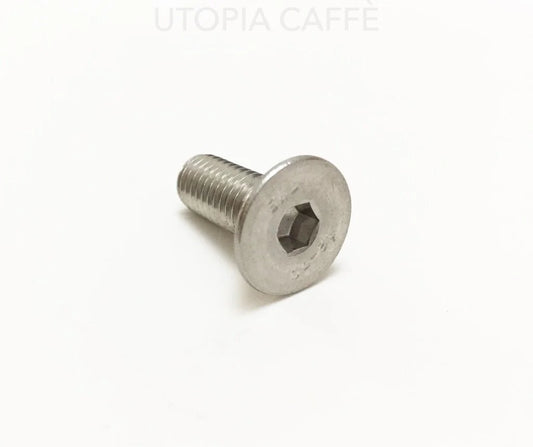 310- Screw 8 X 20Mm Screws