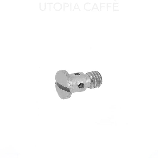 3917 - S. Steel Diffusor Screw