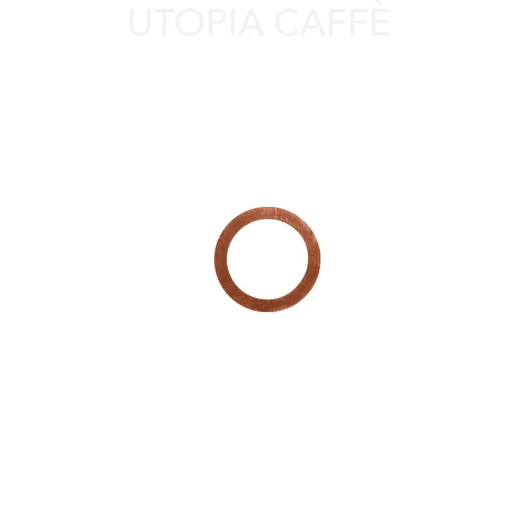 822 - Gicleur Copper Gasket 14 x 10 x 1mm